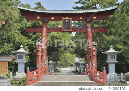 池金 池金 34320192