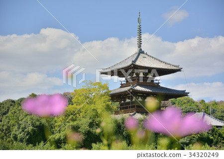 Houki Temple國寶三重塔宇宙 34320249