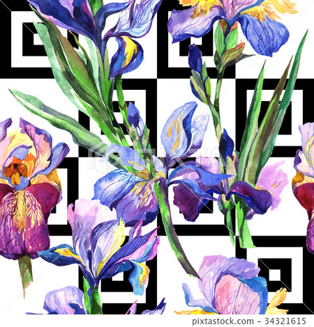 Wildflower iris flower pattern in a watercolor 34321615