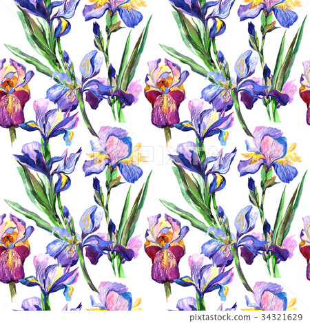 Wildflower iris flower pattern in a watercolor 34321629