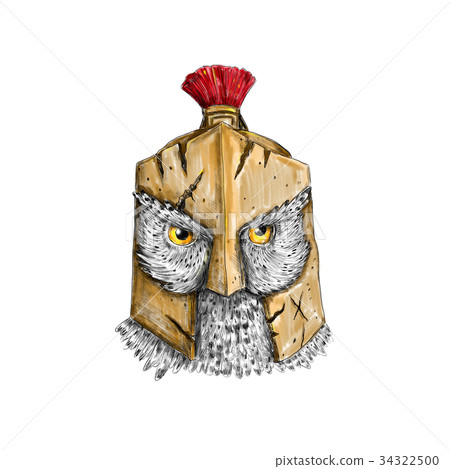 tribal spartan helmet tattoo  Clip Art Library