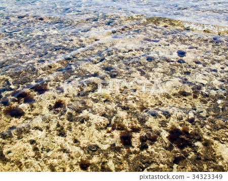 Little Ryukyu scenery 34323349