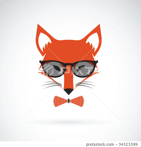 Vector of fox wearing glasses. Animal Vector of fox wearing glasses. Animal 34323399