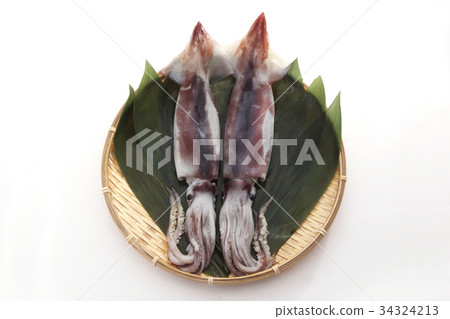 魷魚 魷魚 34324213