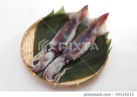魷魚 魷魚 34324215