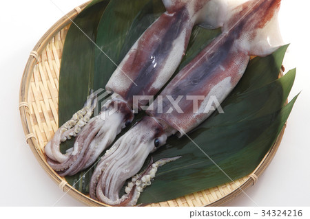 魷魚 魷魚 34324216