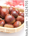 Chestnut  34324705