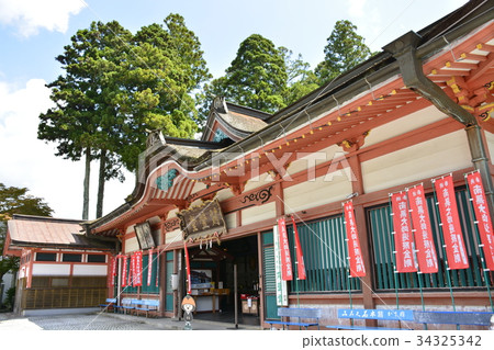 [和歌山縣和歌山市] 34325342