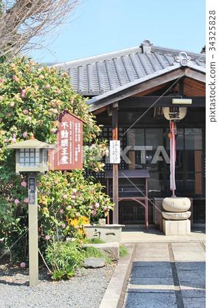 Senbon Shakado 34325828