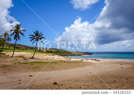 Palm trees on Anakena beach, easter island 34326103