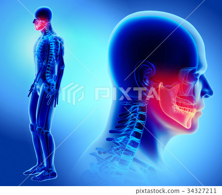 3D illustration of Mandible, medical concept. 34327211
