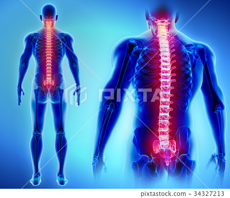 3D illustration of Spine, medical concept. 34327213