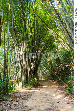 Scenery in Khao Sok National Park in Thailand Scenery in Khao Sok National Park in Thailand 34328209