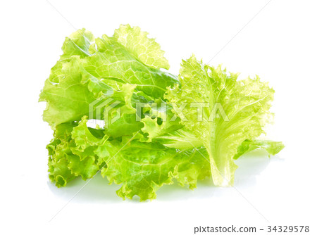 lettuce on white background lettuce on white background 34329578