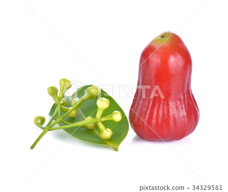 rose apple rose apple 34329581