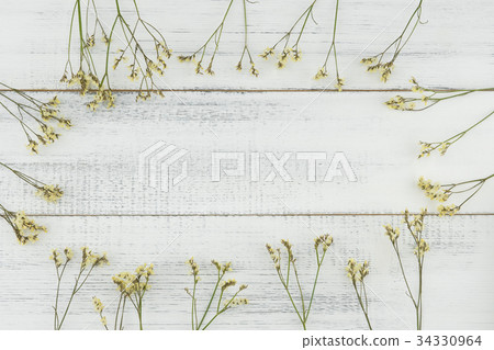 Yellow limonium caspia flowers on white wood Yellow limonium caspia flowers on white wood 34330964