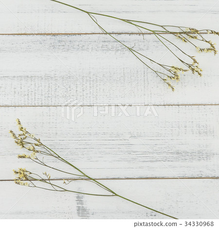 Yellow limonium caspia flowers on white wood Yellow limonium caspia flowers on white wood 34330968