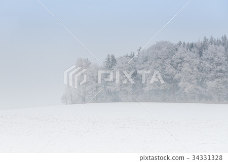 foggy winter landscape - frosty trees 34331328