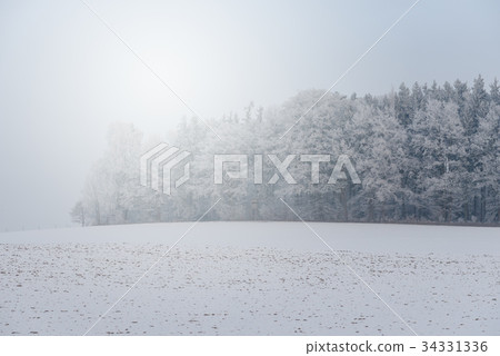 foggy winter landscape - frosty trees 34331336