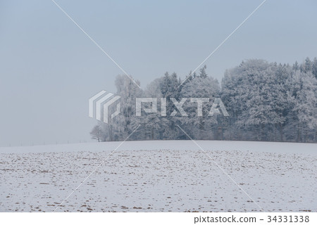 foggy winter landscape - frosty trees 34331338