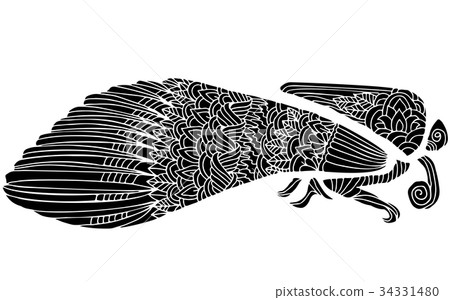 Black and wite moth with ethnic floral ornaments 34331480