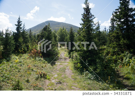 Mountain landscape in the vicinity of Mount Iremel 34331871