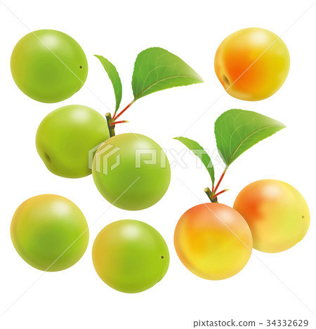 梅果 梅果 34332629