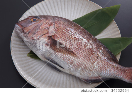 魚_海鮮 海水魚 鯛魚 照片 鯛魚 首頁 照片 魚_海鮮 海水魚 鯛魚 鯛魚