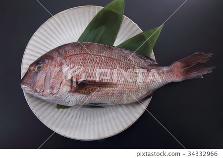 海鯛 海鯛 34332966