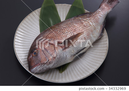 Red snapper Red snapper 34332969