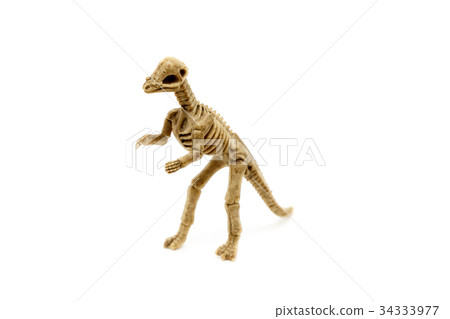 Dinosaur Toy Doll Dinosaur Toy Doll 34333977
