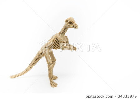 Dinosaur Toy Doll Dinosaur Toy Doll 34333979