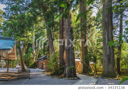 Hakusan Hiba Shrine的神山樹 34335136