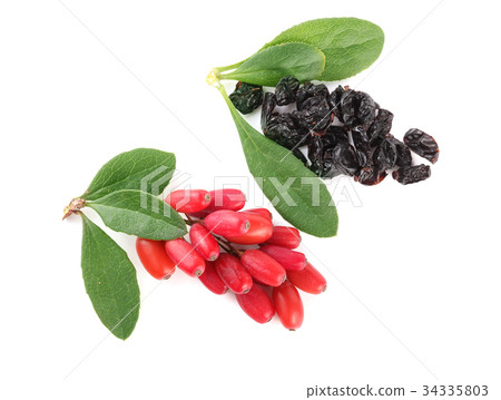 dried and fresh barberry with leaves isolated on dried and fresh barberry with leaves isolated on 34335803