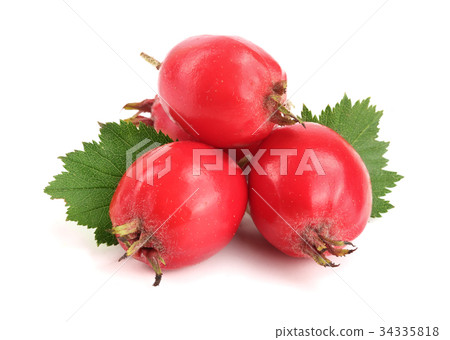 Hawthorn berry with leaf isolated on white Hawthorn berry with leaf isolated on white 34335818