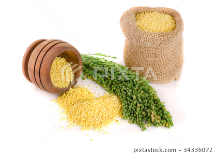 Millet in a bag and bowl with green spikelets 34336072