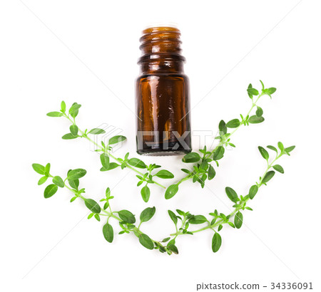 Bottle of essential oil with herbs thyme isolated Bottle of essential oil with herbs thyme isolated 34336091