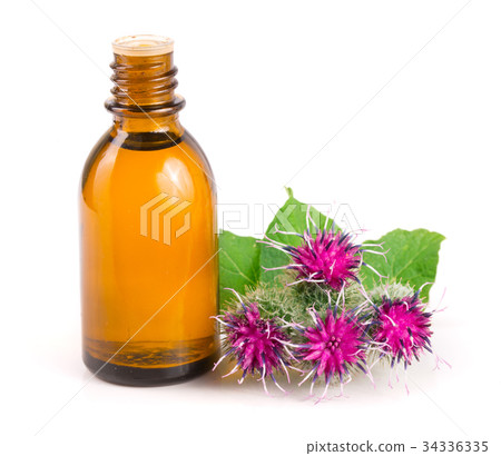 burdock oil in glass bottle and burdock flowers burdock oil in glass bottle and burdock flowers 34336335