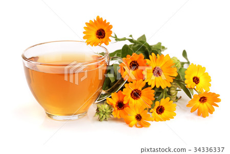 Calendula tea with fresh flowers isolated on white Calendula tea with fresh flowers isolated on white 34336337