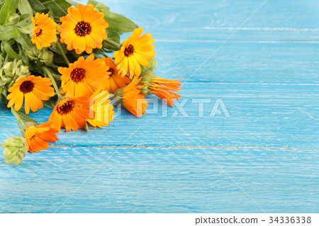 Calendula officinalis. Marigold flower with leaf Calendula officinalis. Marigold flower with leaf 34336338