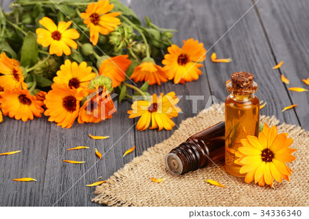 aromatherapy essential oil with fresh marigold aromatherapy essential oil with fresh marigold 34336340