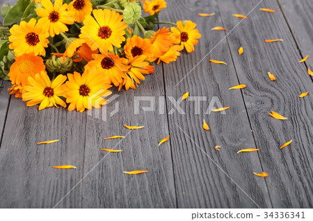 Calendula officinalis. Marigold flower with leaf Calendula officinalis. Marigold flower with leaf 34336341