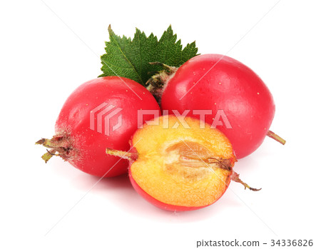 Hawthorn berry with leaf isolated on white Hawthorn berry with leaf isolated on white 34336826