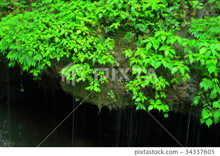 Tamaduru Falls _ Okayama Prefecture _ image of refreshing 34337605
