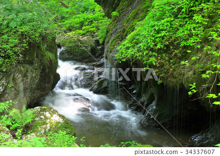Tamaduru Falls _ Okayama Prefecture _ image of refreshing Tamaduru Falls _ Okayama Prefecture _ image of refreshing 34337607