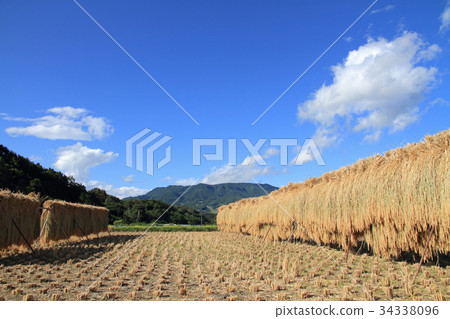 Landscape with a hanging scroll 34338096