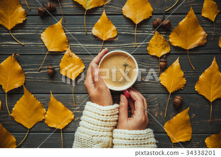 Woman on knitted sweater holding hands cup Woman on knitted sweater holding hands cup 34338201