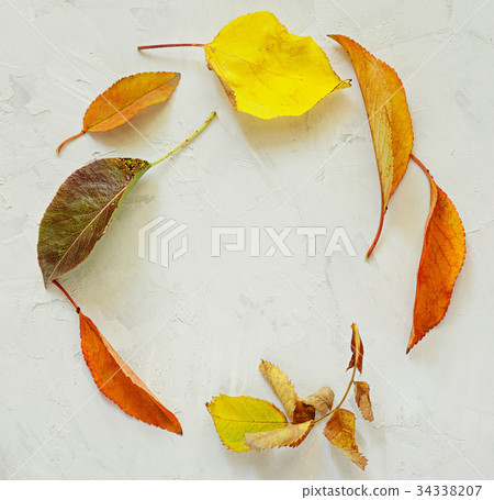 Seasonal frame of autumnal maple leaves isolated 34338207