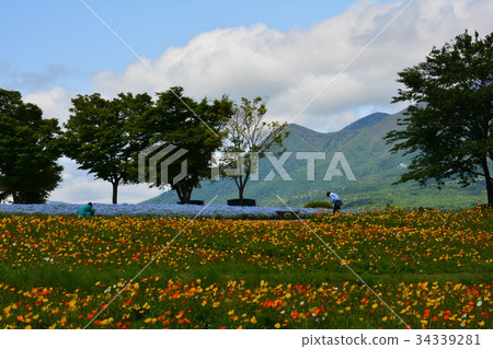 Nasu Flower World 2017-6-4 # 22 34339281