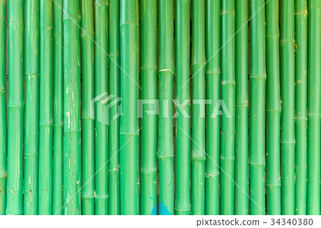 Abstract Background of Green Chinese Bamboo 34340380